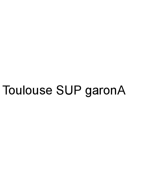Toulouse SUP garonA